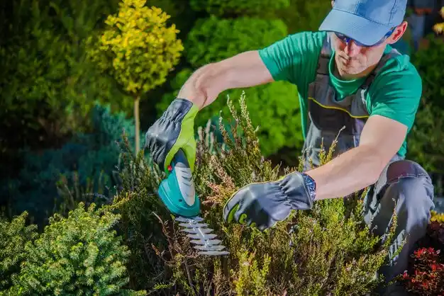 landscaping services Jumpertown